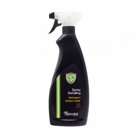 SPRAY DETAILING 500ml