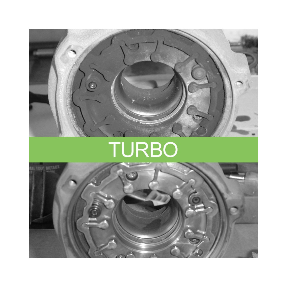 Nettoyant Curatif Turbo + FAP Moteur Diesel (1.5L)